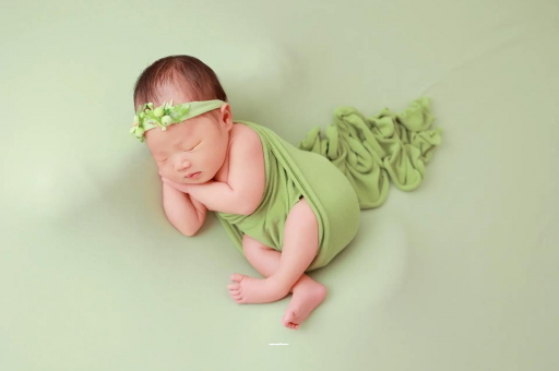 广饶孕妇不能接触的花